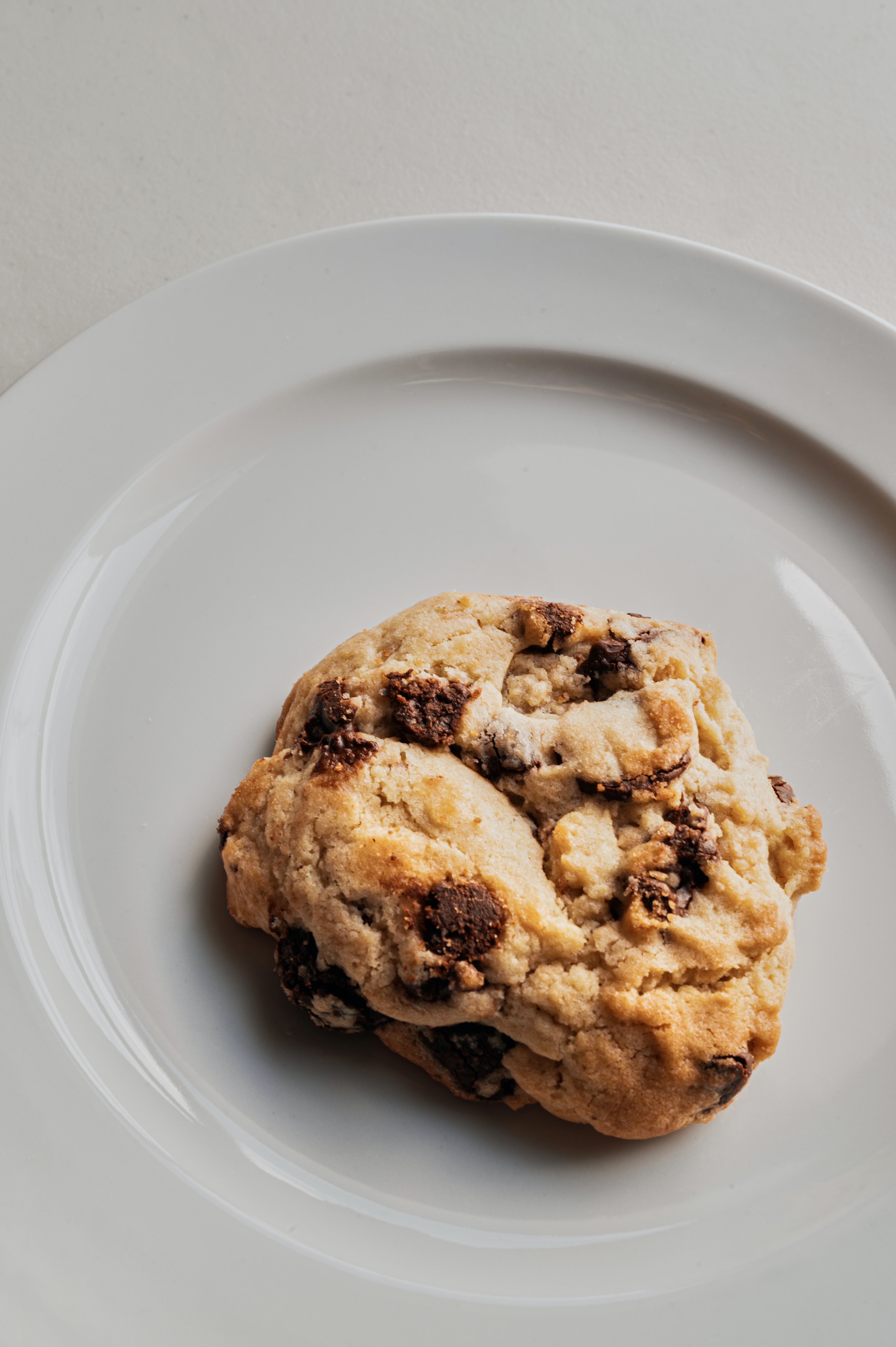 Chocolate Chip Cookie